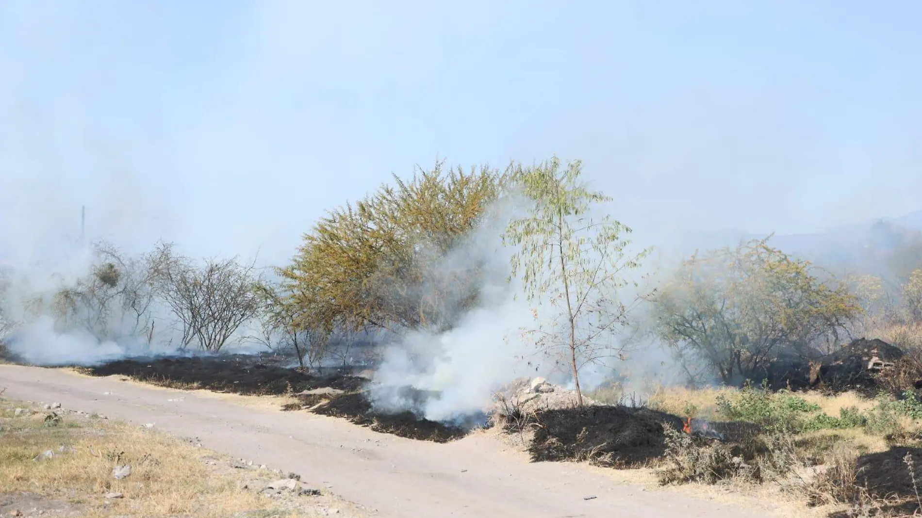 Incendios forestales